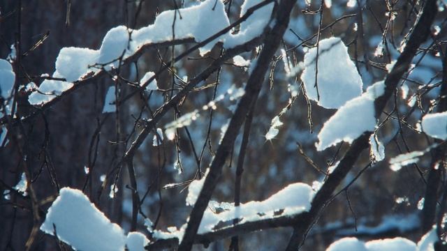 Russian Winter. Fujifilm X-H2s + Vintage Canon FD Lens