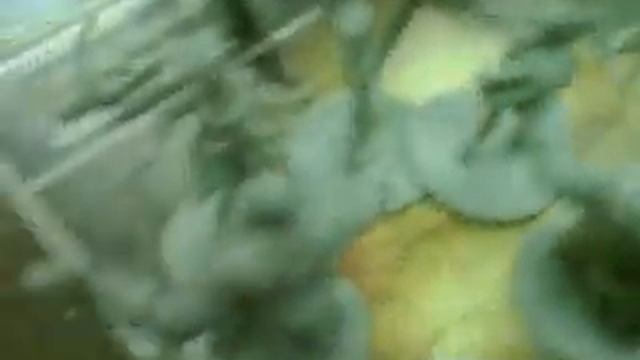 Зомбицид! Zombicide! (часть 2) смотреть онлайн