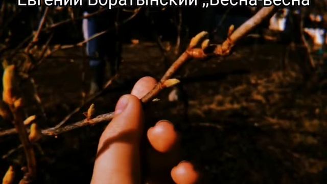 Валиулина Наталья Сергеевна и Валиулина Диана Андреевна смотреть онлайн