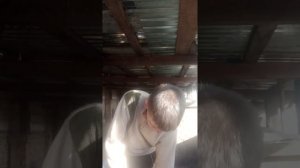 вздутие у кроликов, как лечить?