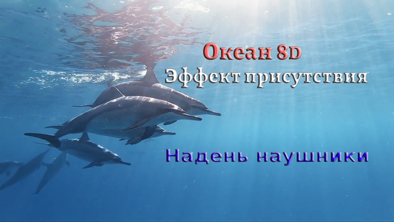 Целебные звуки дельфинов | Релакс подводный мир смотреть онлайн