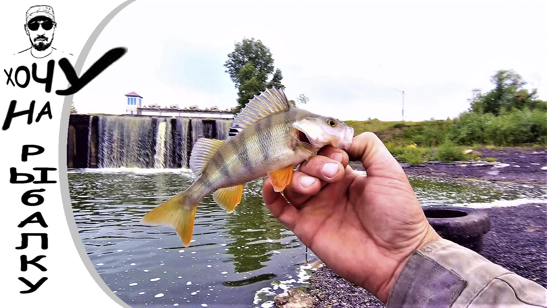 ЕЩЁ ОДНА ЛЕТНЯЯ РЫБАЛКА 2021 ГОДА ловлю окуня на мормышку в реке и пруду смотреть онлайн