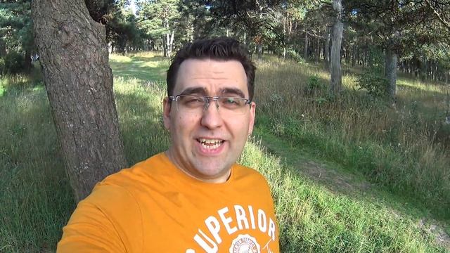 Сколько нужно денег для комфортного проживания в Европе, на примере Эстонии, Таллин