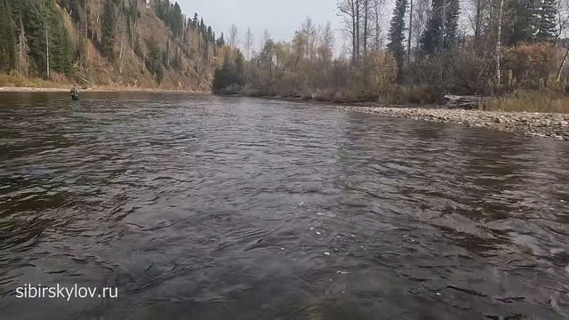 Как Влияет Размер Мушки и Длина Поводка На Поклевки Хариуса? Тестирование Мушек и Новых Материалов. смотреть онлайн