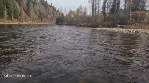 Как Влияет Размер Мушки и Длина Поводка На Поклевки Хариуса? Тестирование Мушек и Новых Материалов.