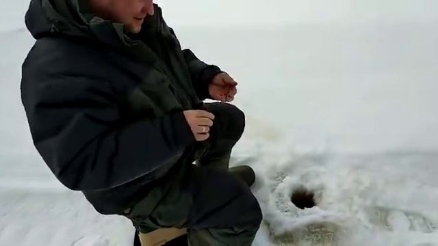 Поездка на север Пермского края 21.03.2019 - 29.03.2019 смотреть онлайн