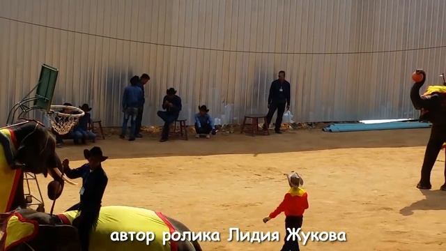 Тайланд глазами туриста Вот что умеют слоны! смотреть онлайн