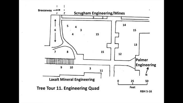 Tree Tour 11- Engineering Quad смотреть онлайн