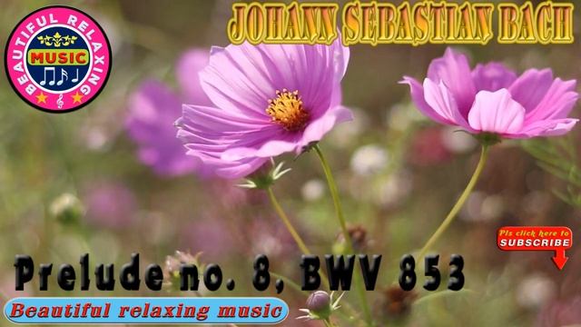 ? [CLASSICAL MUSIC] - Prelude no. 8, BWV 853- by Johann Sebastian Bach смотреть онлайн