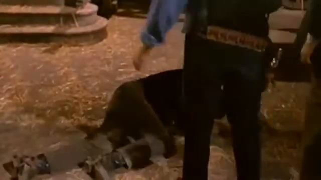 Приготовь гроб. Вестерн. 1968 г..