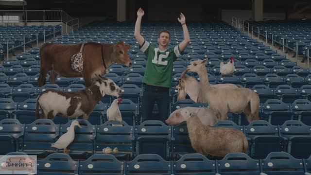 Тиффози распаляют (Tiffosi Heat)