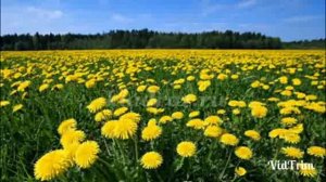 Константин Мохначевскай