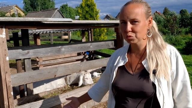 Астральная проекция