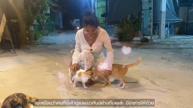 Prime To Go EP3 : Koh PhiPhi เกาะพีพี ทรายพีพี ไอส์แลนด์ смотреть онлайн
