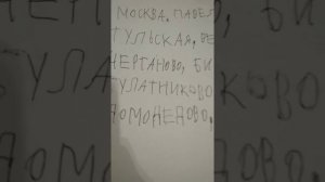 Информатор САВПЭ моим голосом: Москва-Павелецкая-Аэропорт Домодедово