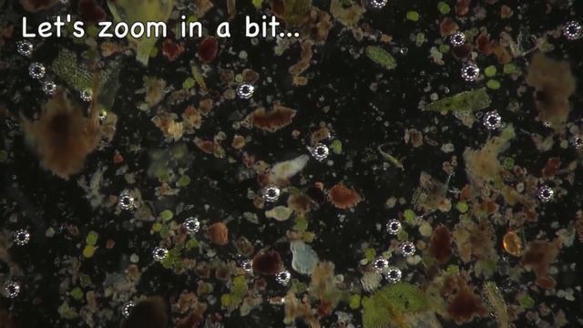 Top 5 Amazing Microscopic Videos смотреть онлайн