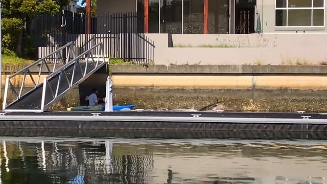 Эти Животные ЗВАЛИ на ПОМОЩЬ! Попробуй НЕ ЗАПЛАКАТЬ и Спасение животных! смотреть онлайн