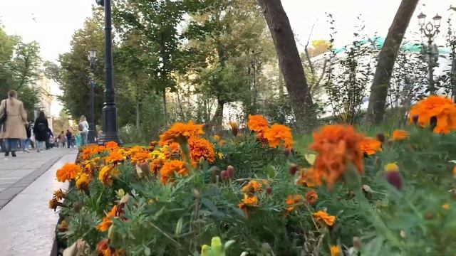 Chistye Prudy (Чистые пруды), Moscow 2020 смотреть онлайн