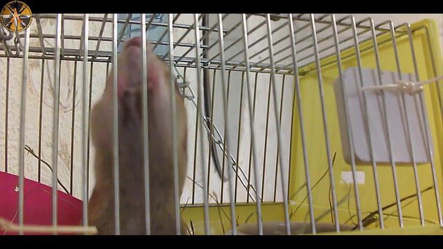 Вася. Просто Вася. смотреть онлайн