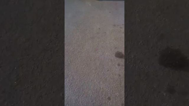 стикер бомбинг-sticker Bombing