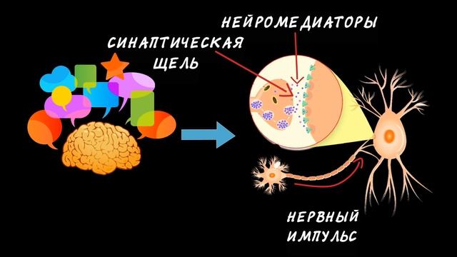 Как работает память человека? смотреть онлайн