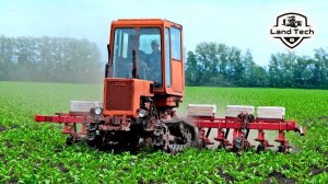 Трактор Т-70СМ на узких гусеницах - лучший трактор для обработки сахарной свеклы?