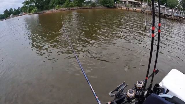 Fish Can't Resist The 1" BERKLEY GULP MINNOW! Kayak Fishing High Rock Lake смотреть онлайн