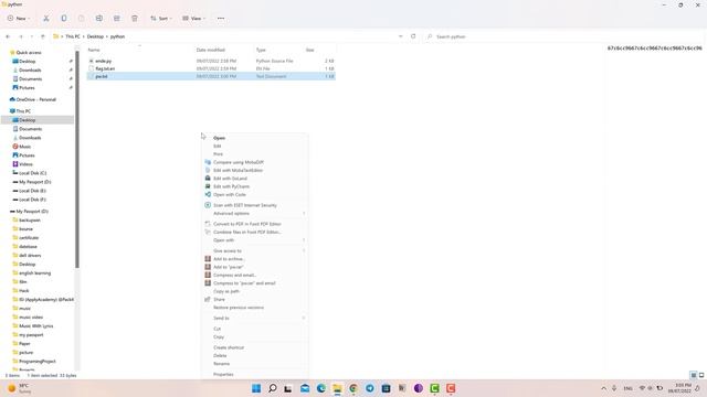 picoCTF-Python Wrangling-walkthrough смотреть онлайн