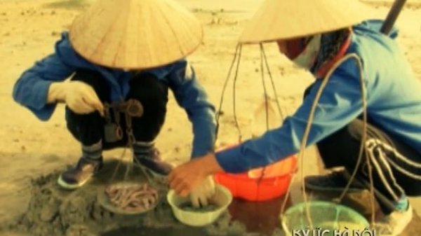 Ký Ức Hà Nội #54: Vị Phở Xưa Của Hà Nội