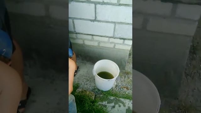 Дикая рыбалка смотреть онлайн