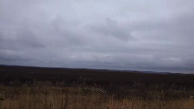 Брошенное поле подсолнуха на границе Тульской и Рязанской области смотреть онлайн