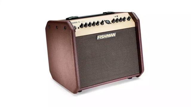 [Top 5 2022] Best Acoustic Amps смотреть онлайн