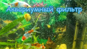 Аквариумный фильтр.