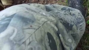 Клещ и Рефтамид-Антиклещ с альфациперметрином(зеленый).