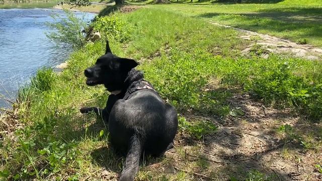 Om mani padme hum ? смотреть онлайн