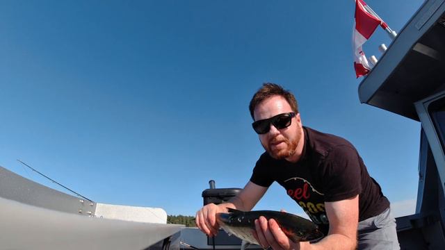 Tidal Summer Chinook Salmon Fishing in the Strait of Georgia смотреть онлайн
