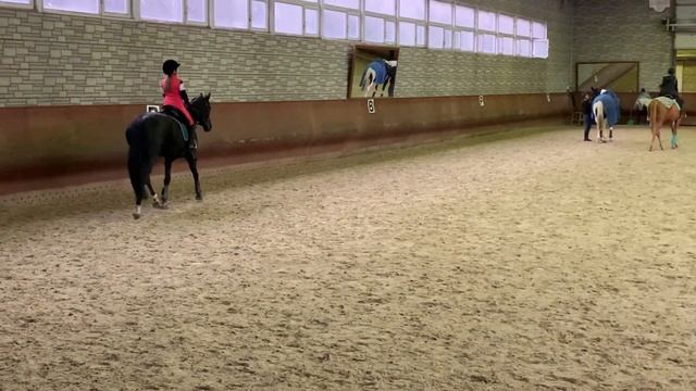 Верховая езда //КОНОБЛОГ// Про МАНЕЖ смотреть онлайн