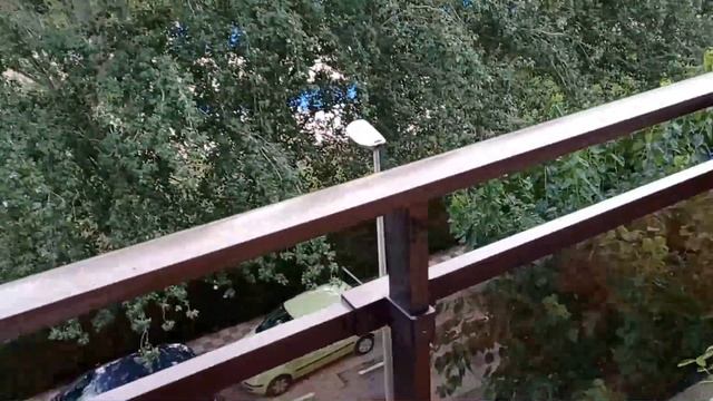 Влог Лорет Наша квартира в Испании Розы расцвели смотреть онлайн