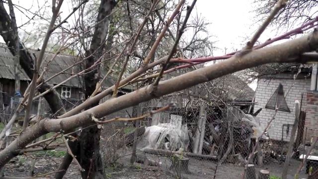 "Результат" нового укрытия персика аграволокно плюс стрейч пленка. Открытая местность с сквозняками смотреть онлайн