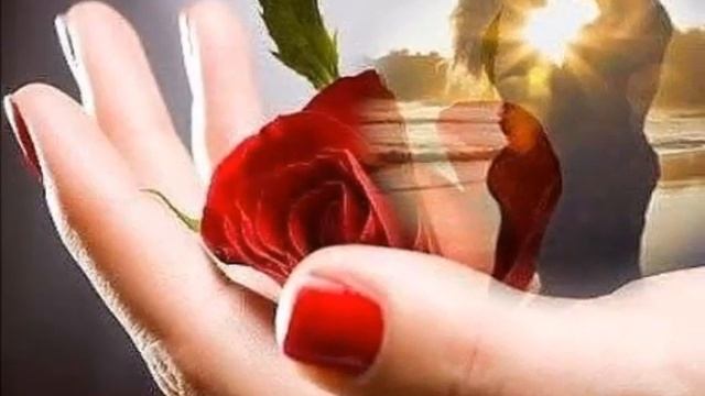 Лепестки роз. (Gil Ventura- Fascination) смотреть онлайн