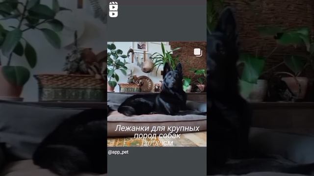 Качественная мебельная ткань Велюр-антикоготь. Съёмный чехол. Двусторонняя 2 в 1. смотреть онлайн