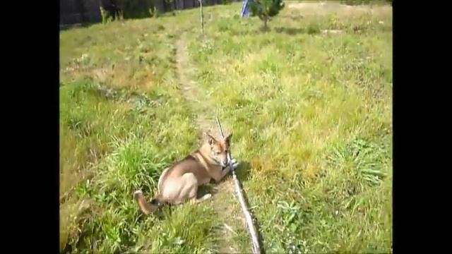 Размер не имеет значения. смотреть онлайн