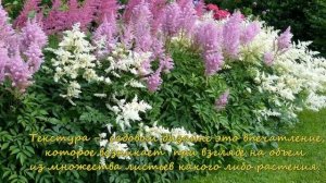 Как сделать цветник своими руками или миксбордер? Садовый дизайн и многолетние цветы для клумбы.