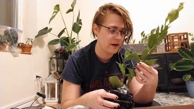 Logee's Unboxing! It's my birthday and I'll fan girl if I want to смотреть онлайн