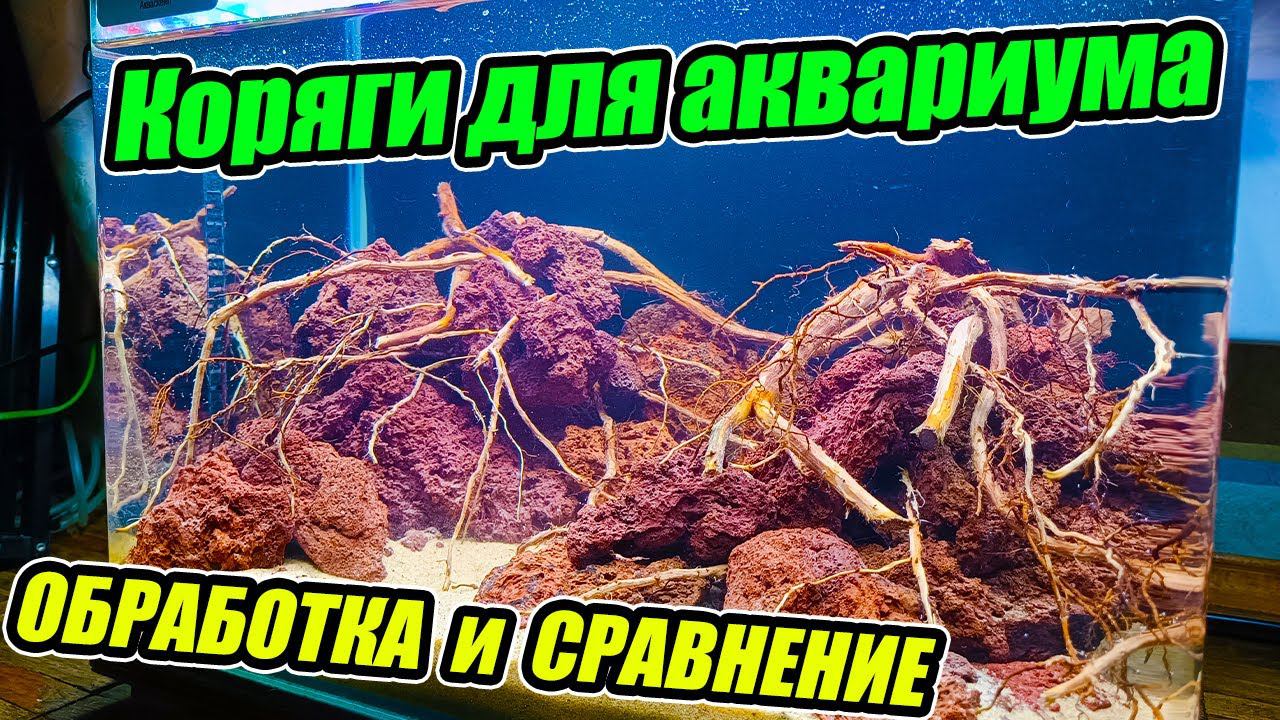 Коряга для аквариума своими руками! Обработка и Сравнение смотреть онлайн