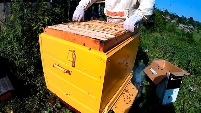 ОСМОТР УЛЬЯ//ЯЩИК ДЛЯ ПЕРЕНОСА РАМОК НА СКОРУЮ РУКУ//деревенские будни смотреть онлайн