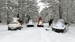 Очередной выезд в лес на снегоходах! Отзывы владельцев отечественных снегоходов Тайга,  Буран, Стелс