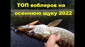 Топ воблеров на осеннюю щуку 2022