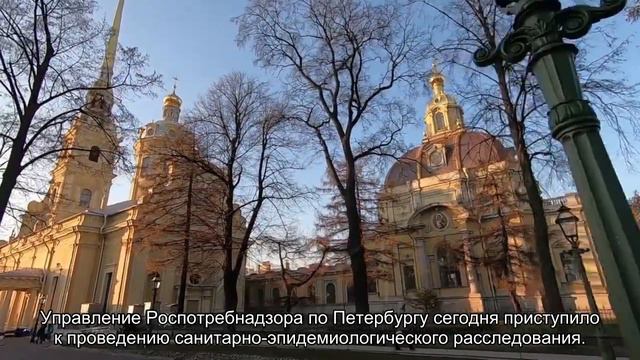 В школе на Крестовском - вспышка кишечной инфекции смотреть онлайн