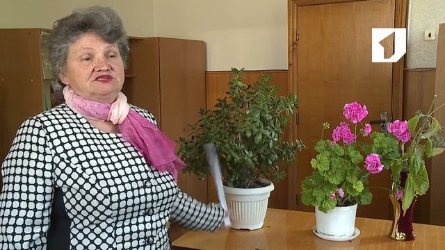 Утренний эфир / Фитодизайн смотреть онлайн